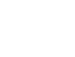 first light logo white